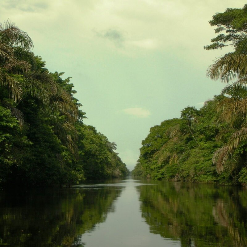 BARRA DEL COLORADO Y TORTUGUERO - Image 2