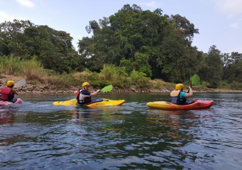 BARRA DEL COLORADO Y TORTUGUERO - Image 3