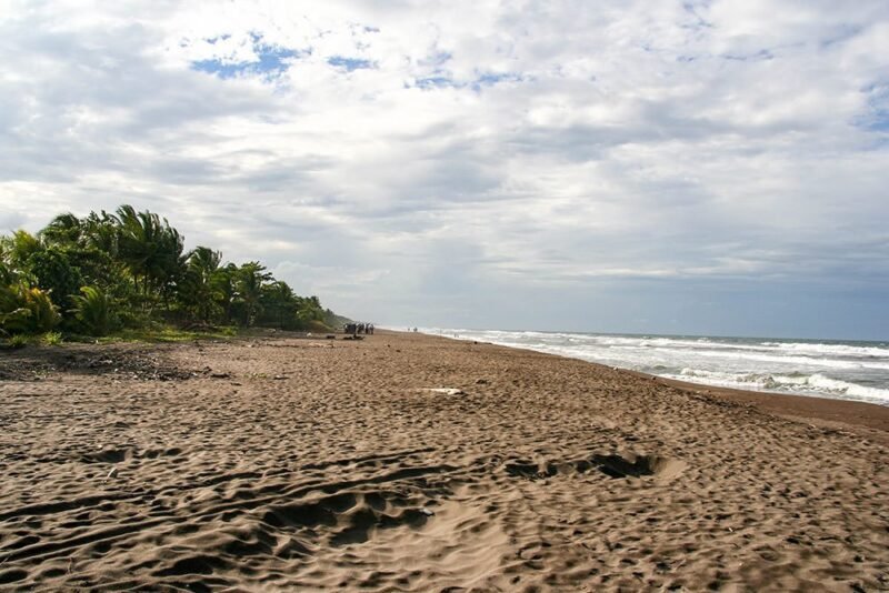 BARRA DEL COLORADO Y TORTUGUERO - Image 5