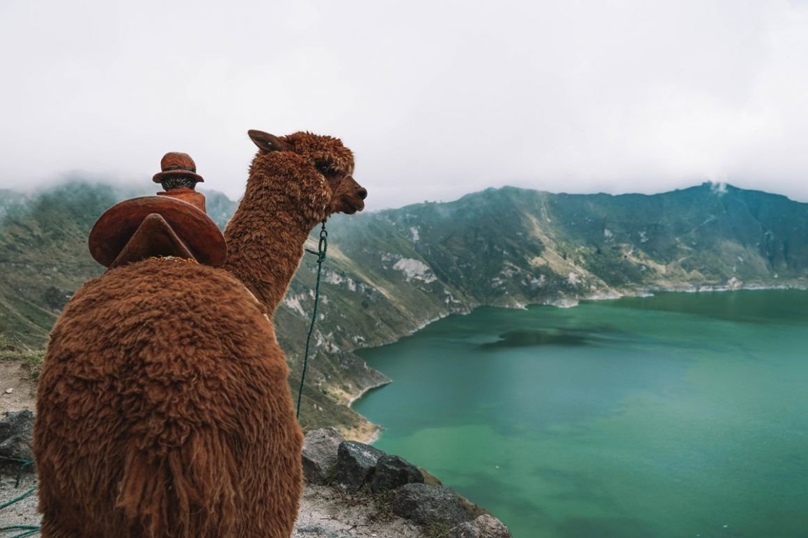 Visitar la Laguna de Quilotoa gu a y consejos 2023 Katt Travel